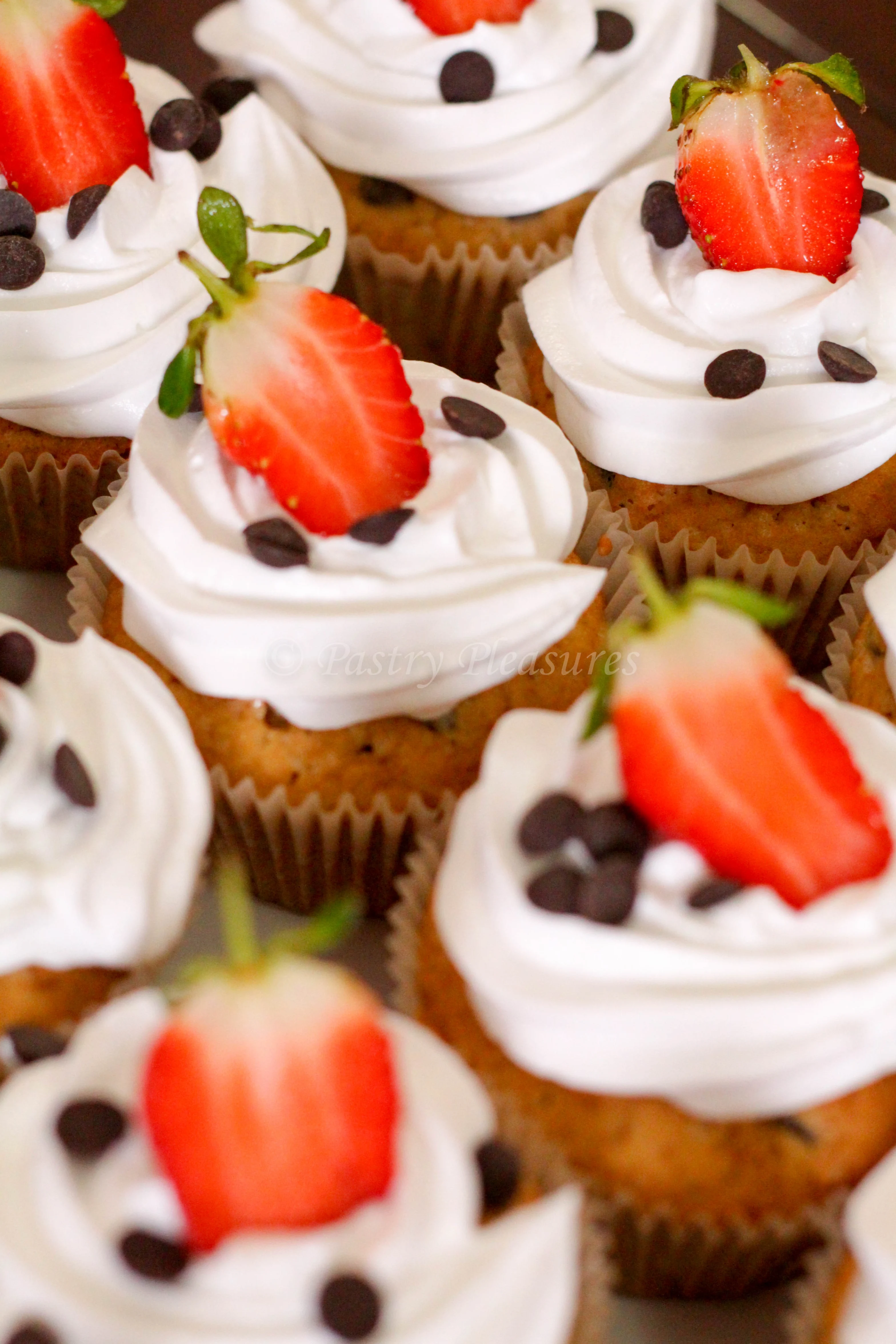 Chocolate chip cuppies