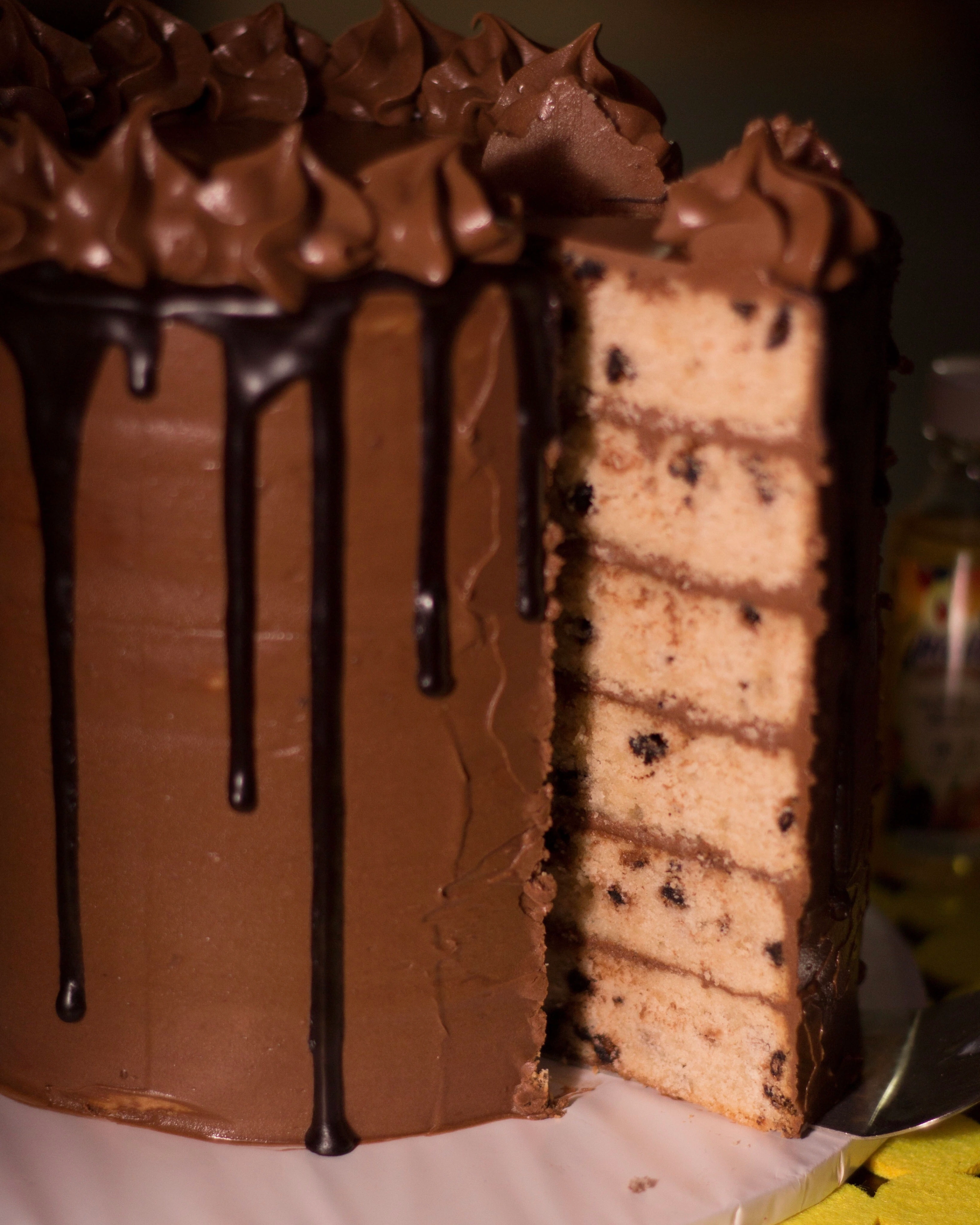 Mint Chocolate Chip Cake